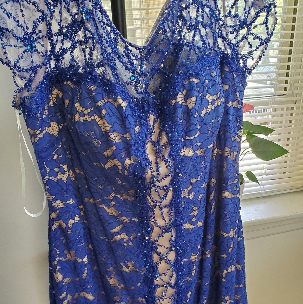 Terani Couture Dress